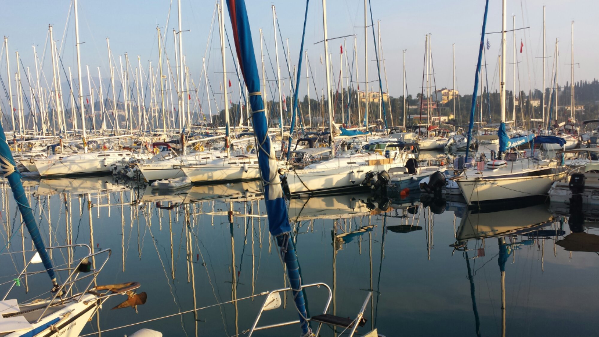 20131028_075844.jpg image