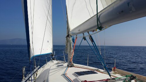 20131028_133504.jpg image