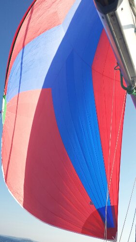 20131029_154109.jpg image