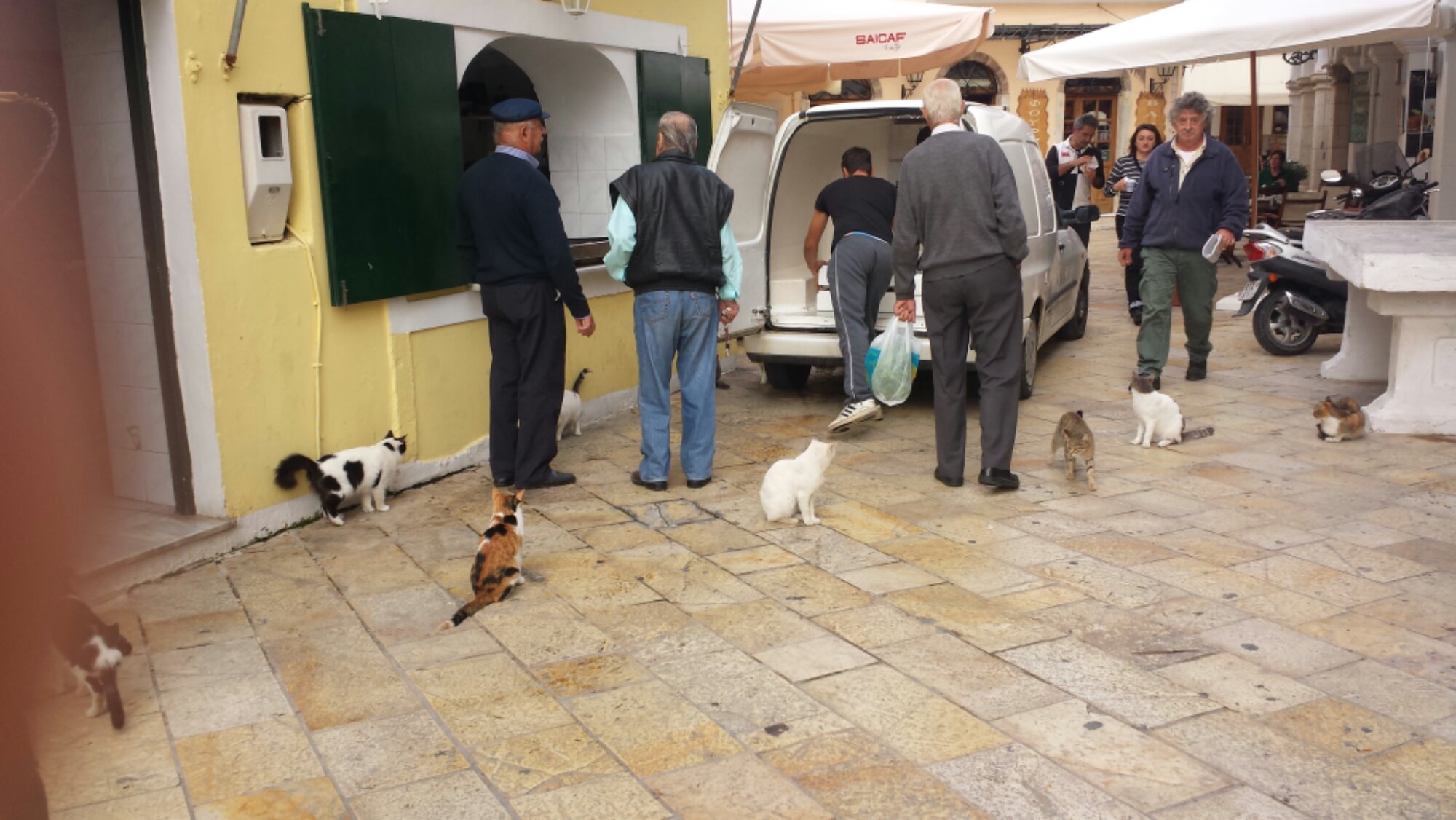 20131030_090628.jpg image