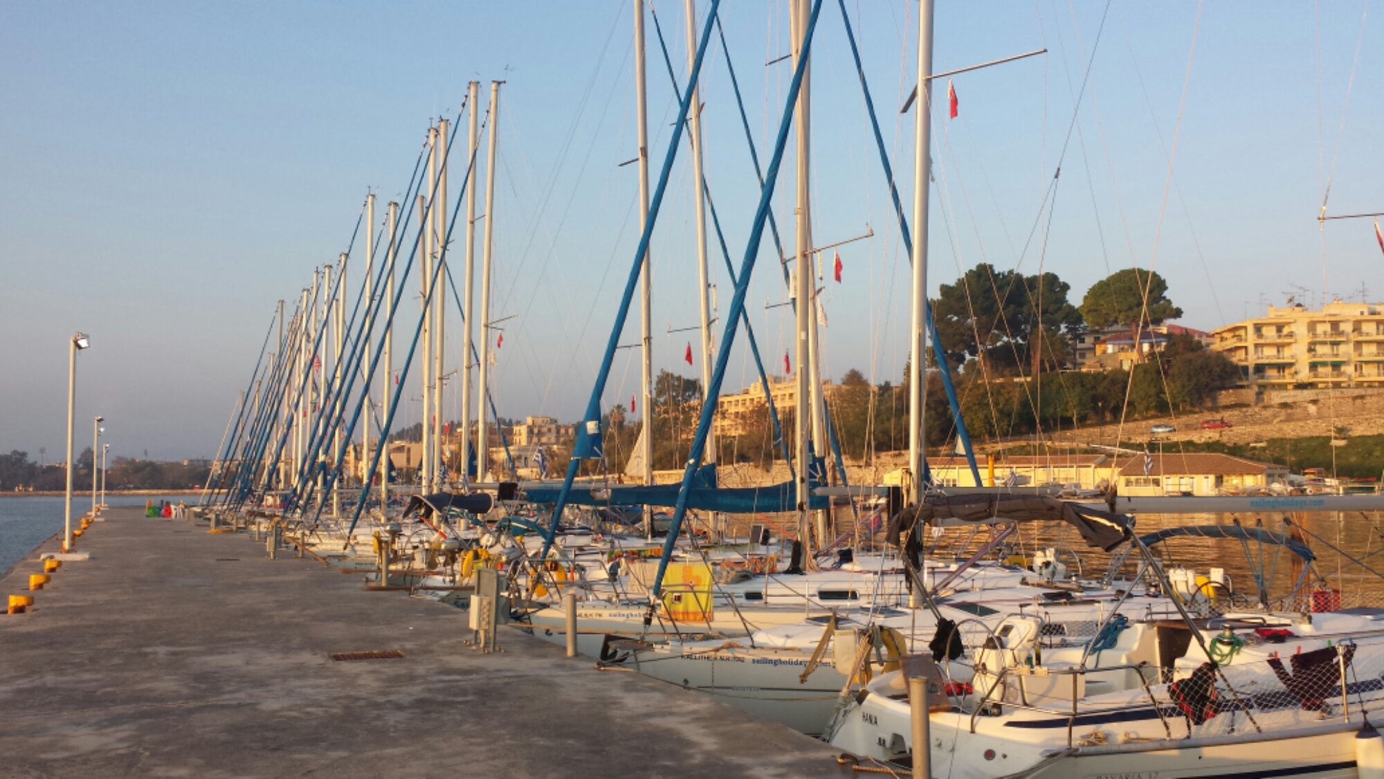 20131102_074506.jpg image